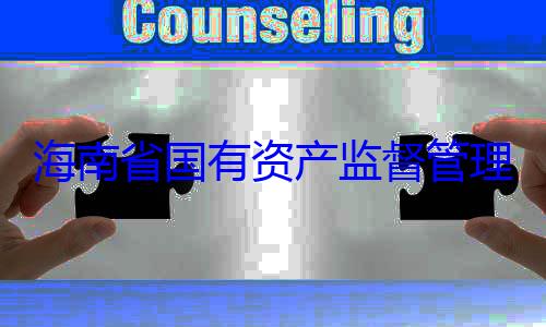 理委员会党海南省国有查调查有福接受审委副书记王资产监督管